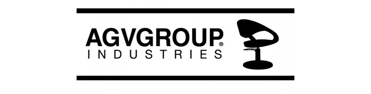 AGV GROUP